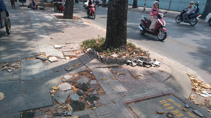 Nguy[-]cơ[-]cây[-]“trốc[-]rễ”[-]ở[-]TP[-]Hồ[-]Chí[-]Minh